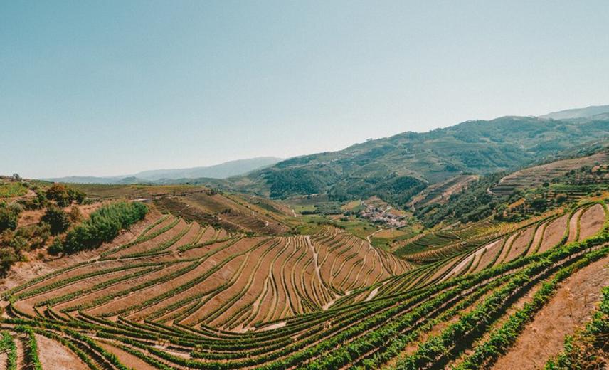 Napa Valley